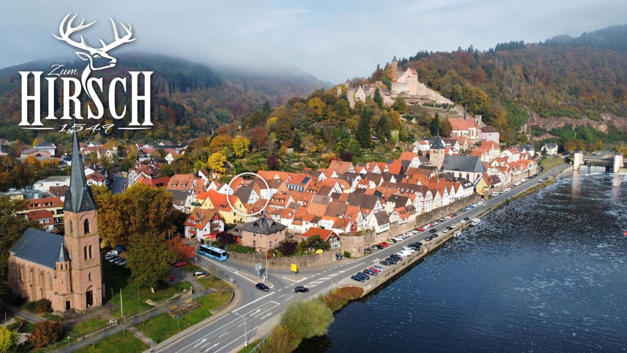 Appartement Schlossberg, Gasthaus Hirsch Hirschhorn Dış mekan fotoğraf